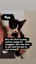 Tux