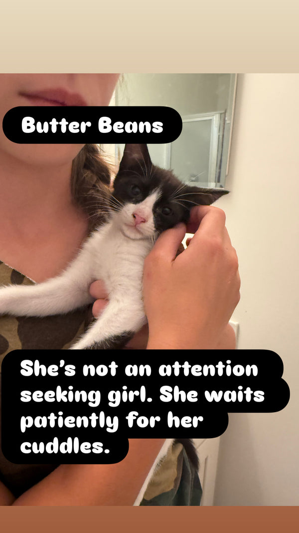 Butter Beans