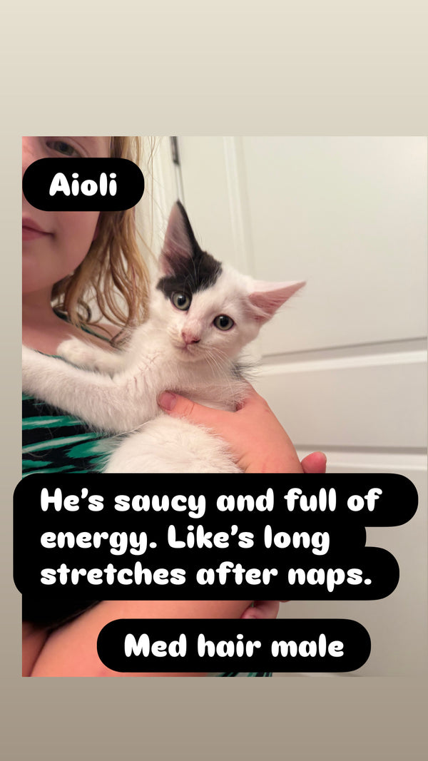Aioli