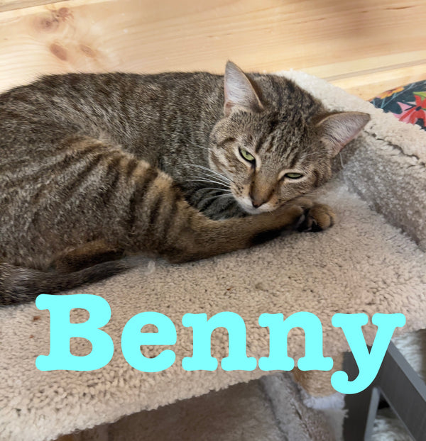 Benny