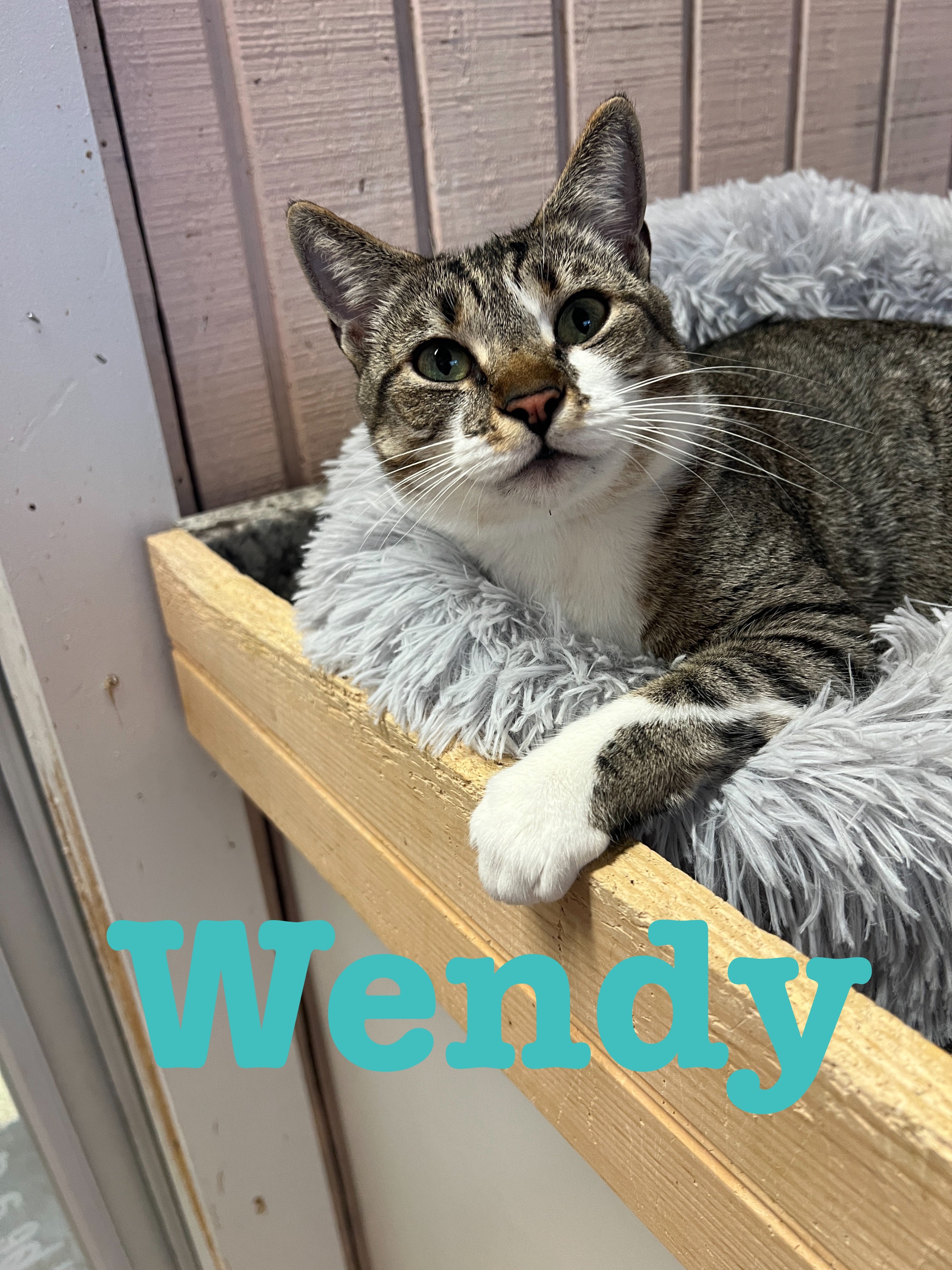 Wendy