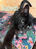 Salem