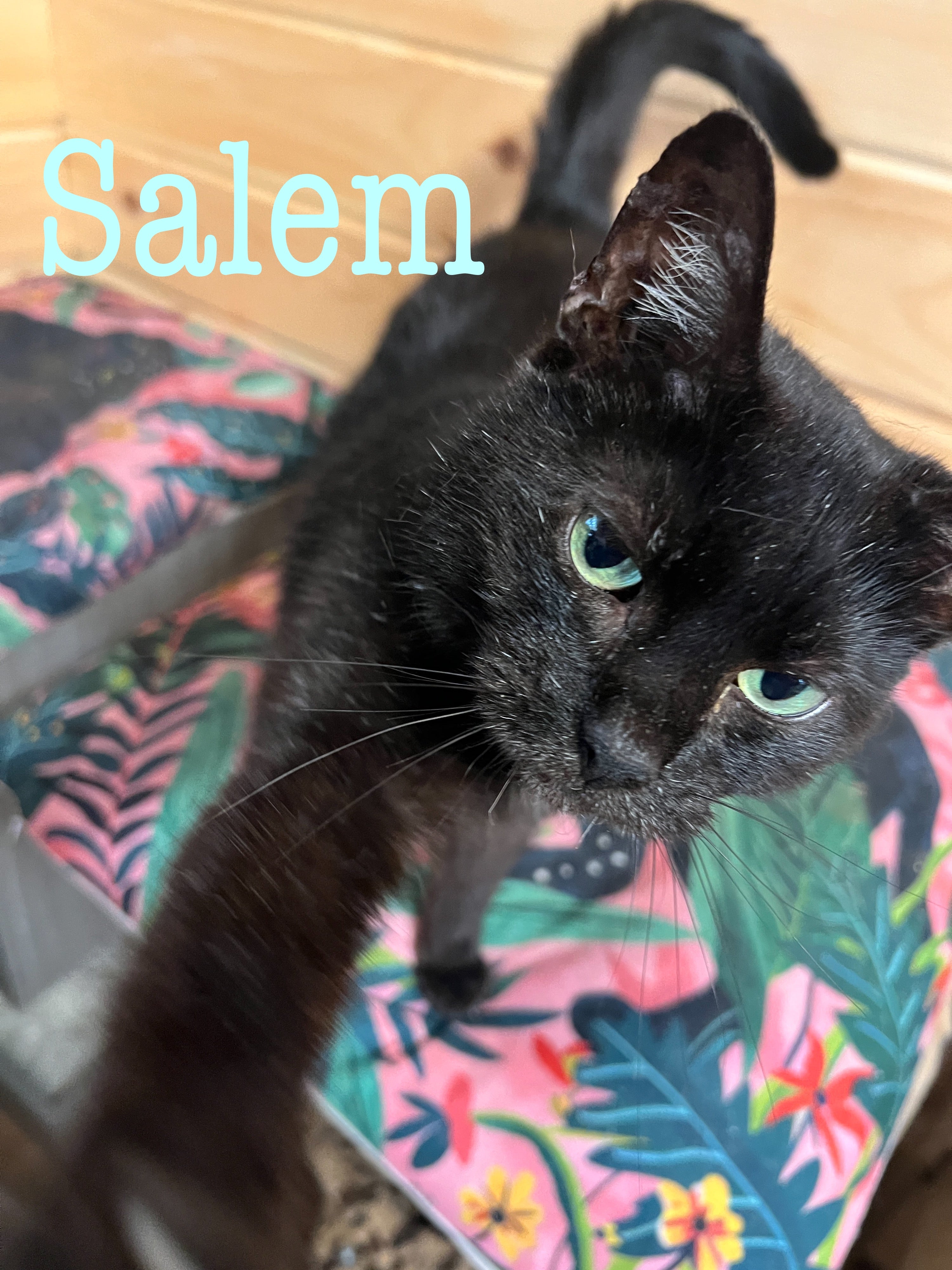 Salem